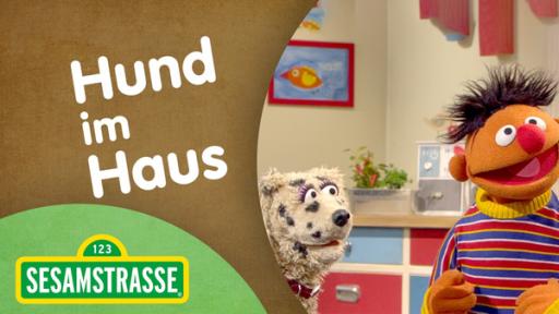 Hund im Haus | Rechte: NDR / SW Sesamstrasse: Hund im Haus