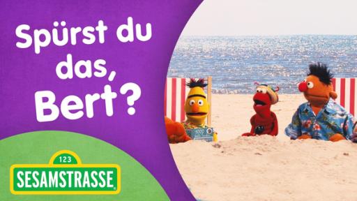 Spürst du das, Bert? | Rechte: NDR Foto: Grafik Sesamstraßen Logo, Ernie und Bert am Strand