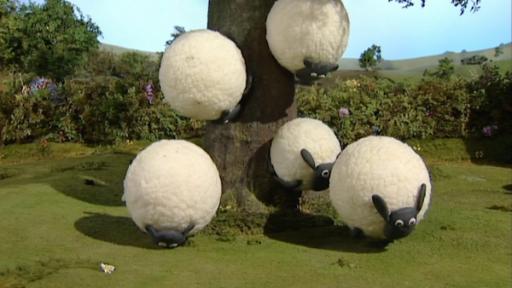 Rettet den Baum | Rechte: WDR Schafe fallen vom Baum