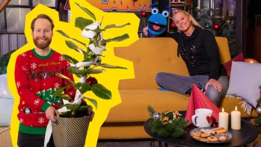 Wünsche-Weihnacht | Rechte: ZDF Enno Bunger hält eine festlich geschmückte Pflanze und lacht in die Kamera. Singa und SingDing befinden sich auf einem gelben Sofa und lachen ebenfalls in die Kamera.