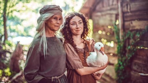 Die Gänseprinzessin