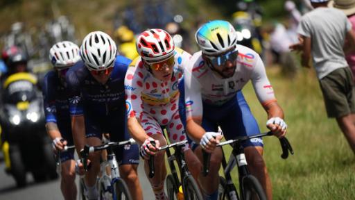 Das Fahrerfeld während der 12. Etappe der Tour de France | Rechte: AP Das Fahrerfeld während der 12. Etappe der Tour de France