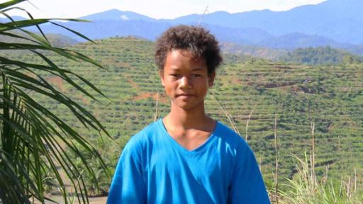 Akee vor den Palmölplantagen