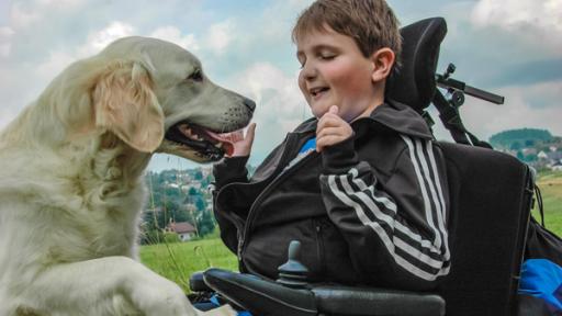Jenson - Mein Hund hilft mir | Rechte: ZDF Jenson - Mein Hund hilft mir