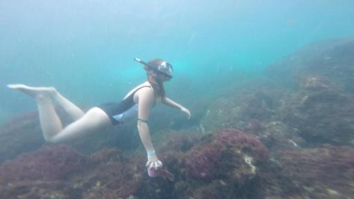 Maria - Für ein Meer ohne Müll | Rechte: ZDF Maria taucht im Meer. Sie trägt einen Badeanzug, eine Taucherbrille und einen Schnorchel. Sie schwimmt über ein Korallenriff. In der Hand hält sie Plastikmüll, den sie gerade vom Boden aufgesammelt hat.