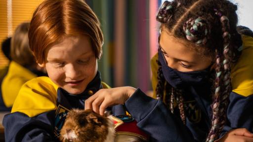 Das verschwundene Meerschweinchen | Rechte: © SEEFOOD TV AS 2023/Eline Ødegaard Magnus hält im Klassenzimmer glücklich lächelnd ein Meerschweinchen in seinen Armen und streichelt es mit seiner linken Hand. Rechts von ihm befindet sich Jenny, die sich mit einer Schutzmaske im Gesicht zum Meerschweinchen beugt.