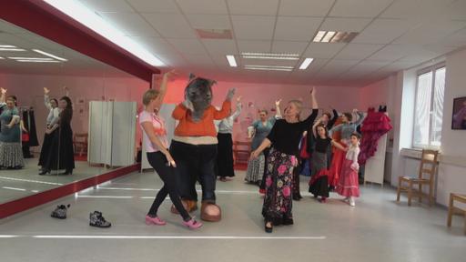 Singa und Tanztapir beim Flamenco.