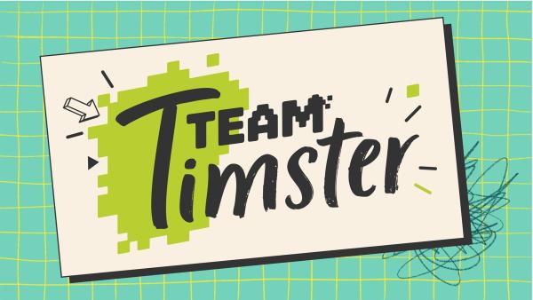 Der Schriftzug Team Timster in schwarz auf einem weißem Rechteck mit hellgrünem Klex vor einem karierten türkisen Hintergrund
