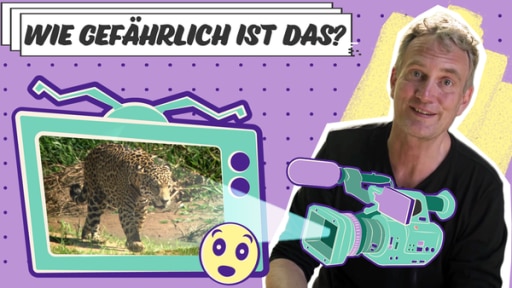 Tierfilmer - so nah muss er ran mit der Kamera! | Rechte: KiKA