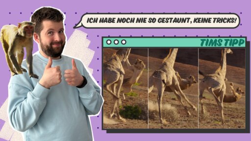 Tims Film-Tipp: Planet Erde | Rechte: KiKA