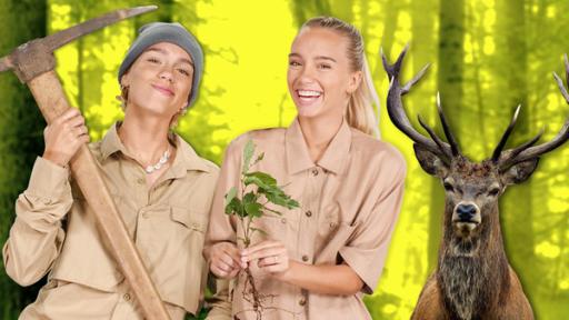 Ranger: Abenteuer im Wald | Rechte: SWR Ranger: Abenteuer im Wald mit Lisa und Lena