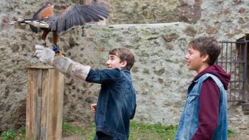 zwei Jungen in einer Ruine halten einen Adler fest | Rechte: SWR zwei Jungen in einer Ruine halten einen Adler fest