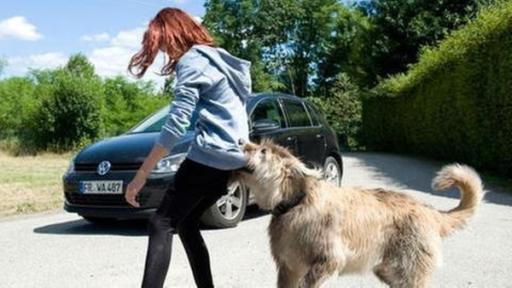 Hund hält Mädchen fest | Rechte: SWR Hund hält Mädchen fest