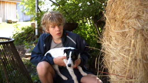 Tim versteckt sich mit Hund Cookie | Rechte: SWR Tim versteckt sich mit Hund Cookie