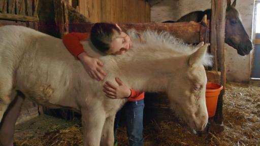 Lucy mit ihrem Fohlen | Rechte: SWR Lucy mit ihrem Fohlen