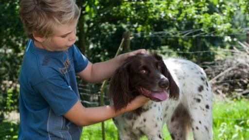 Tim streichelt den wilden Hund | Rechte: SWR Tim streichelt den wilden Hund