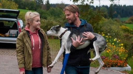 Ein Mann trägt einen bandagierten Hund und unterhält sich mit einem Mädchen | Rechte: SWR Ein Mann trägt einen bandagierten Hund und unterhält sich mit einem Mädchen
