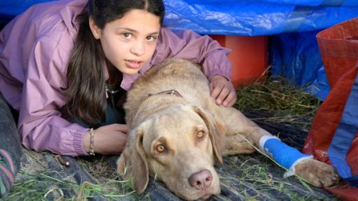 Ronja und Pari verstecken sich vor dem Wilderer | Rechte: SWR Ronja und Pari verstecken sich vor dem Wilderer