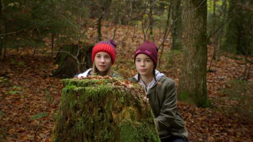 Leo und Paulina im Wald | Rechte: SWR Leo und Paulina im Wald