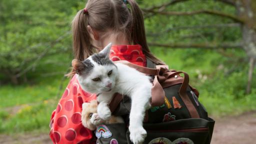 Mädchen bei "Tiere bis unters Dach" mit einer Katze in einem Rucksack | Rechte: SWR Mädchen bei "Tiere bis unters Dach" mit einer Katze in einem Rucksack