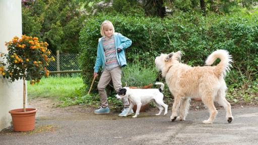 Zwei Hunde und Frauchen | Rechte: SWR Zwei Hunde und Frauchen