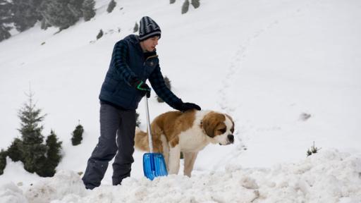 Pawel mit Bernhardiner Oswald im Schnee | Rechte: SWR Pawel mit Bernhardiner Oswald im Schnee