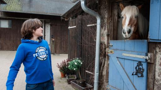 Jan erschrickt vor einem Pferd | Rechte: SWR Jan erschrickt vor einem Pferd