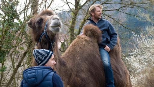 Pawel und Jobst mit Kamel