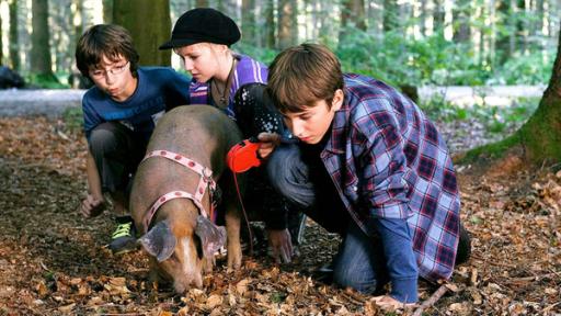 Dei Kinder mit einem Schwein im Wald | Rechte: SWR Dei Kinder mit einem Schwein im Wald