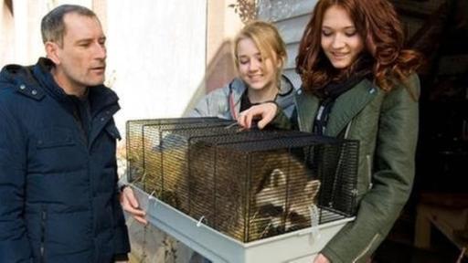 zwei Mädchen halten einen Waschbären in einem Käfig einem Mann entgegen | Rechte: SWR zwei Mädchen halten einen Waschbären in einem Käfig einem Mann entgegen