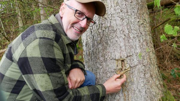 Tigerenten Club Waldchallenge mit Peter Wohlleben | Rechte: KiKA