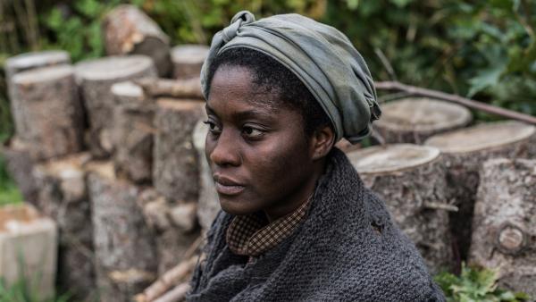 Harriet Tubman (Nancy Mensah-Offe), vermutlich 1820 in Maryland als Sklavin geboren, flüchtet zunächst selbst in den Norden und wird dann unter dem Codenamen „Moses“ die bekannteste Fluchthelferin des „Underground Railroad.“