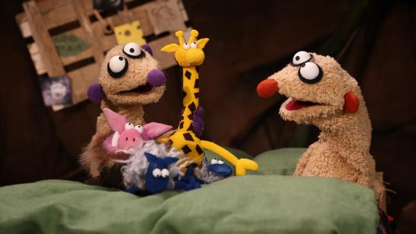 Jan & Henry können nicht schlafen gehen, bevor sie nicht all ihren Kuscheltieren eine „Gute Nacht“ gewünscht haben. Damit das aber nicht zu lange dauert, singen sie kurzerhand ein Schlaflied für alle.