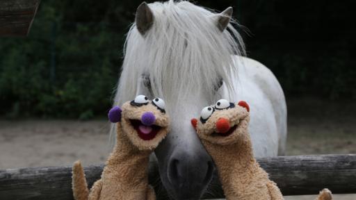 Jan und Henry machen sich darüber Gedanken, warum ihre Nasen unterschiedliche Farben haben. Überhaupt gibt es so viele verschiedene Personen, die alle ganz anders sind, zum Beispiel im Zoo: Da gibt es Tiere mit langen Hälsen, mit Punkten, großen Augen oder dickem Fell.