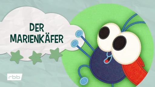 Der Marienkäfer (Quelle: rbb)