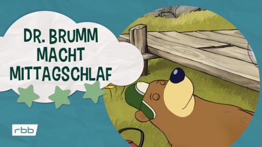 Dr. Brumm macht Mittagschlaf (Quelle: rbb)