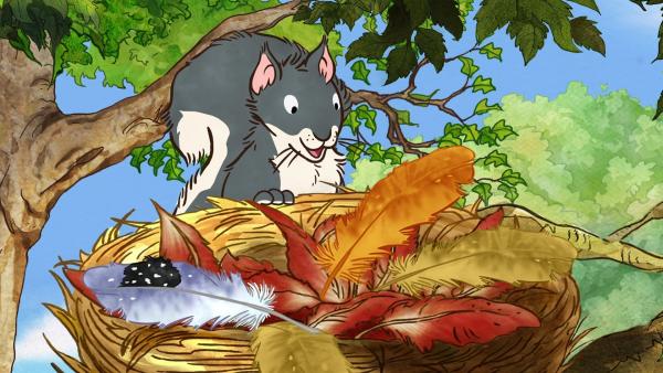 Das kleine Grauhörnchen erreicht das Nest des kleinen roten Vogels und entdeckt die Feder.
