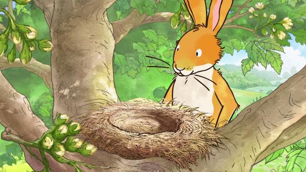 Und plötzlich findet der kleine braune Hase niemanden mehr im Nest vor.