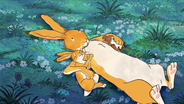 Großer brauner Hase, kleiner brauner Hase und die kleine Feldmaus betrachten den Sternenhimmel.