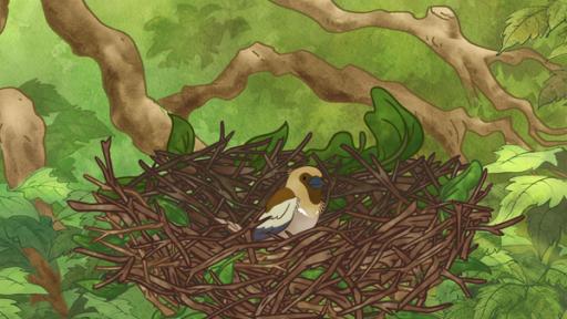 Rechte: KiKA/SLR Productions Australia Pty.Ltd./Scrawl Studios Pte Ltd./hr/ARD Und schon gibt es einen kleinen Interessenten für das Nest im Baum.