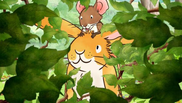 Der kleine Hase und die kleine Feldmaus spielen auf der Wiese Verstecken als sie eine ungewöhnliche Entdeckung machen.