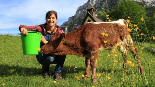 Anna auf der Alm | Rechte: BR | Text und Bild Medienproduktion GmbH & Co. KG Der Räuber im Hühnerhaus (Folge 2) | Katis Kälber verbringen ihren ersten Sommer auf der Alm. Anna füttert den jungen Stier Xaver mit Milch.