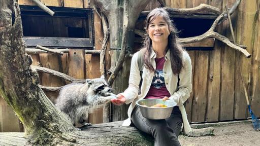 Ein neuer Räuber in der Wildnis (02) | Anna füttert den Waschbären Hannes im Tierpark Kunsterspring.