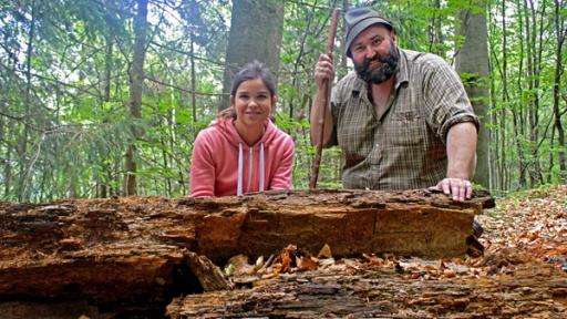 Anna und der wilde Wald | Rechte: BR Anna und der wilde Wald | Rechte: BR