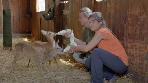 Anna und der wilde Wald (3) | Rechte: br Rettung für die Waldtiere | Anna und Tierschützerin Anne-Marie füttern die Rehkitze