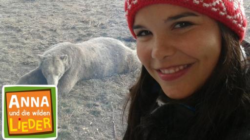 Der Jäger im ewigen Eis / Anna beobachtet Eisbären in Kanada.