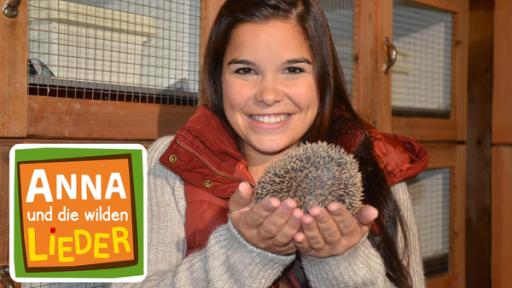 Das muss der Igel sein!