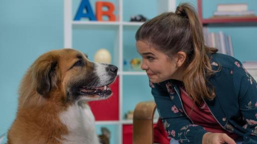 Anna und das wilde Wissen | Rechte: BR | Text und Bild Medienproduktion GmbH & Co. KG | Fabian Nummert H wie Hund | Bis heute wird daran geforscht, warum sich Wolf und Mensch angenähert haben und ob das dazu beigetragen hat, dass Menschen sesshaft wurden. Anna versucht das mit Studiohund Heide heraus zu finden.