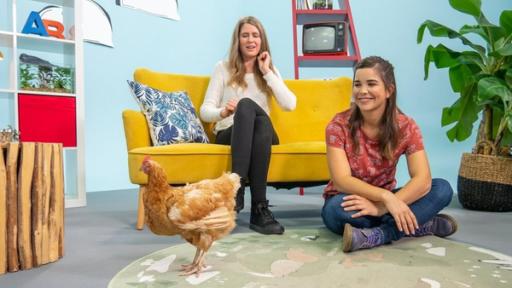 Anna und das wilde Wissen: H wie Hühnerhaltung | Rechte: BR | Text und Bild Medienproduktion GmbH & Co. KG | Katharina Brackmann H wie Hühnerhaltung | Simone (links) kümmert sich mit ihrem Verein „Rettet das Huhn“ um ausgediente Legehennen.