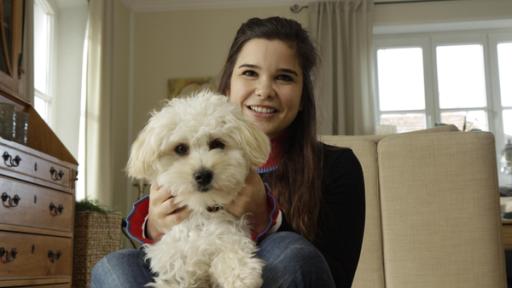 Anna und die Haustiere | Rechte: BR | Text und Bild Medienproduktion GmbH & Co.KG Maltipoo | Mit ihrem flauschigen, lockigen Fell sehen Maltipoos ein bisschen aus wie Teddies.